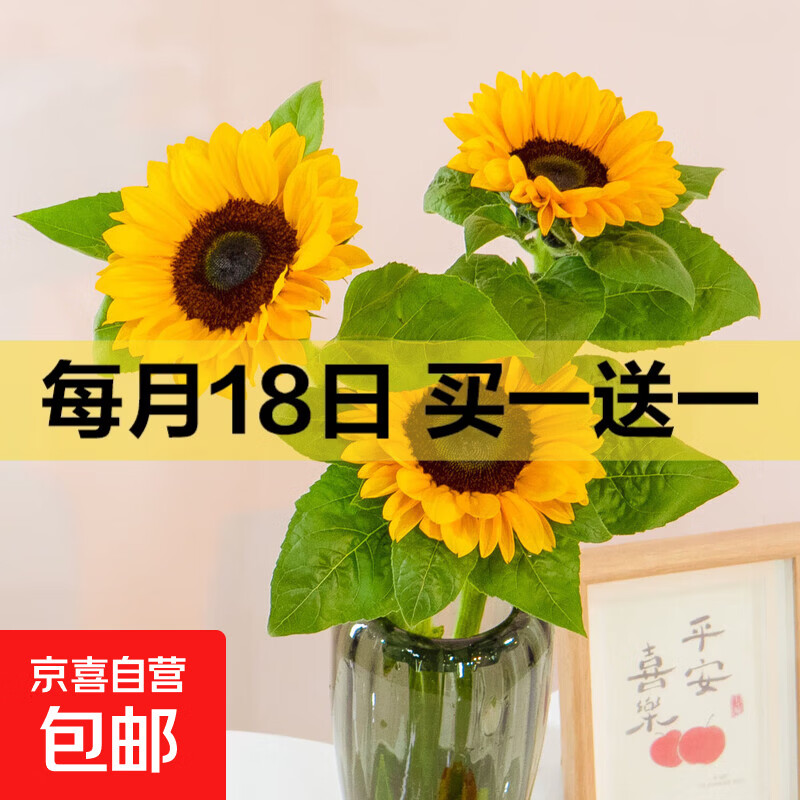 玫瑰向日葵康乃馨风铃鲜花云南直发母亲节生日礼物 向日葵2枝