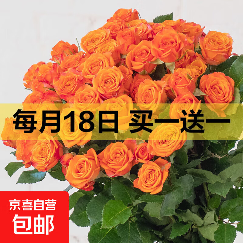 ��ɫ�ű� ��ͷ����õ�� �ʻ����� 3֦ 38��Ů�� 14.99Ԫ��һ��һ