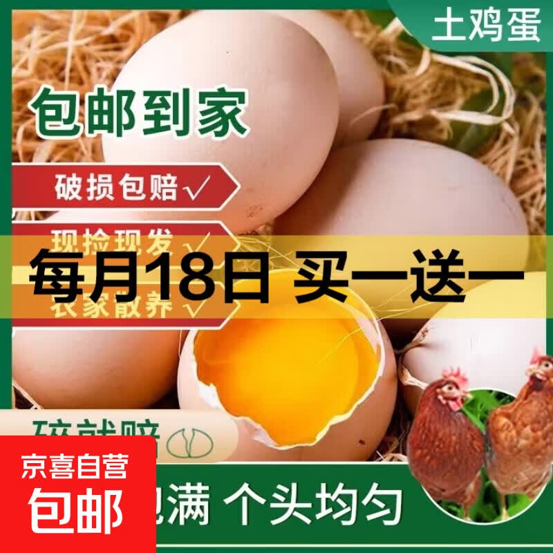 农家散养柴鸡蛋新鲜草鸡蛋走地鸡营养早晨蛋 10枚鲜鸡蛋 10枚