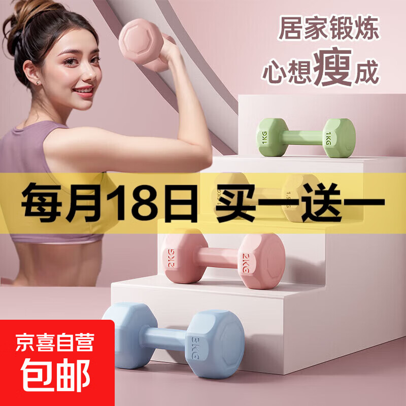 【百万爆品】环保六角小哑铃女士健身家用练臀练手臂居家健身器材 丁香紫 1KG 单支1kg