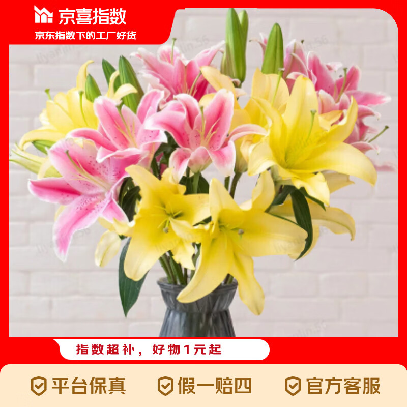 京喜指数香水百合鲜花云南鲜花直发家用水养插花母亲节情人节礼物 随机香水百合混色6朵 优质百合