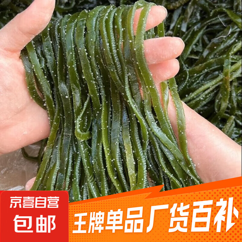 盐渍海带丝海带批发商用凉拌菜火锅食材长短均有高性价比 盐渍海带丝短丝尝鲜装500g