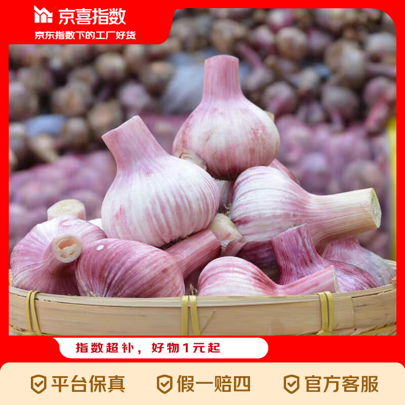 京喜指数 云南正宗紫皮大蒜现挖新鲜多瓣湿蒜鲜蒜糖蒜专用大蒜头 商超款鲜蒜5斤大果