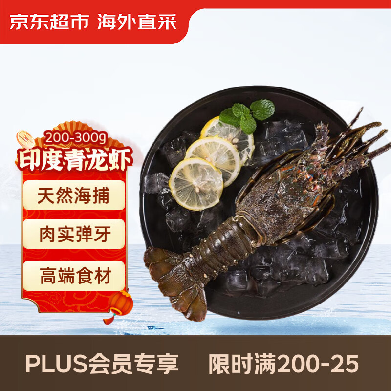 京东超市 海外直采冷冻青龙虾/小青龙 200-300g/只 高端海鲜食材