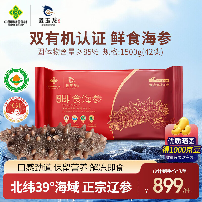 鑫玉龙有机即食海参正宗大连辽参鲜食辽刺参海鲜水产 固体物含量≥85% 【量贩装】有机海参3斤42头