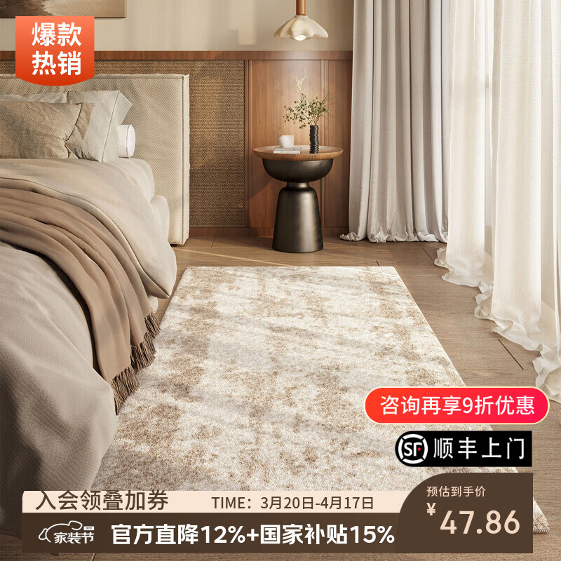 像素地毯卧室床边毯2026新款侘寂风家用免洗可擦客厅沙发毛绒地垫隔音 子骞-22169 60x120cm