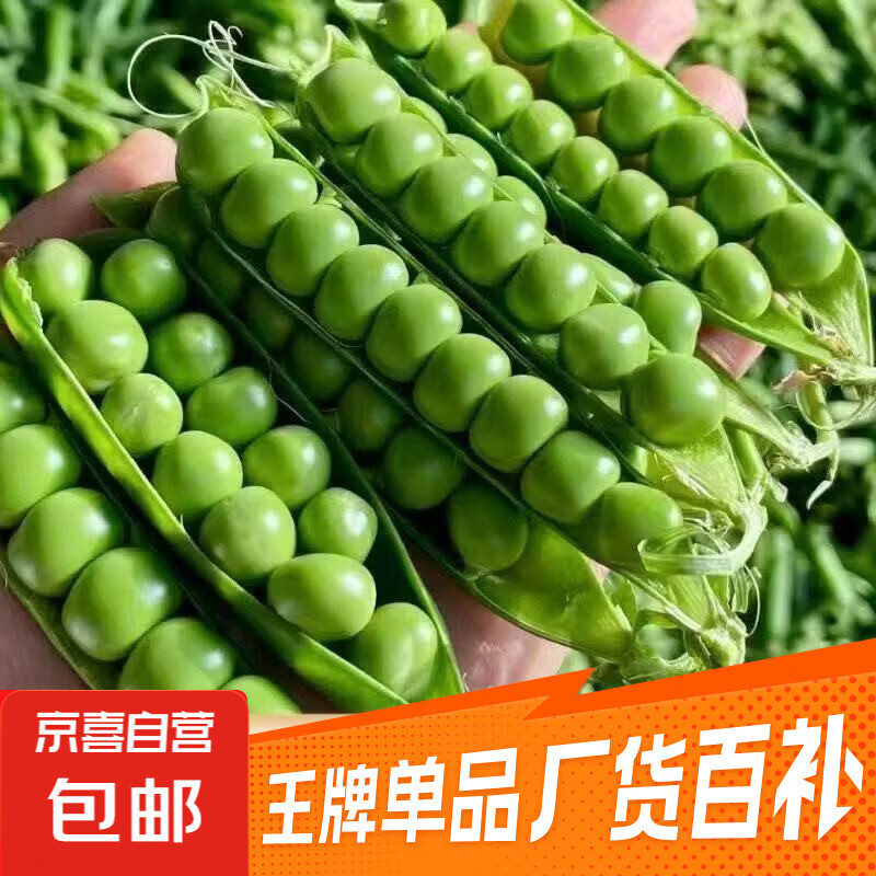 豌豆荚长寿仁云南高原露天种植甜脆水果豌豆新鲜营养豌豆荚带壳发 2斤带壳新鲜豌豆（净重1.8斤）
