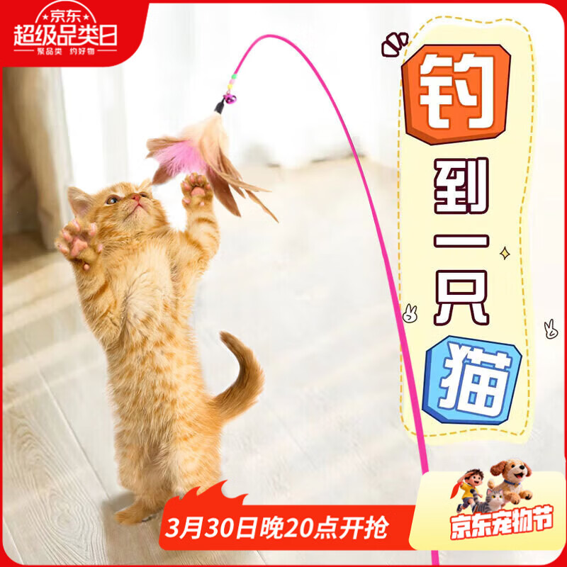 憨憨乐园猫玩具逗猫棒幼小猫猫咪磨牙玩耍耐咬互动自嗨玩具神器宠物用品