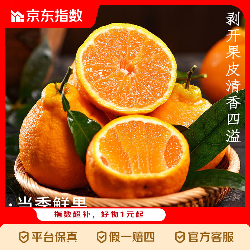 正宗四川不知火丑橘时令生鲜水果大果应当季桔子耙耙丑柑橘子包邮 【带箱5斤】 新鲜采摘，超甜爆汁
