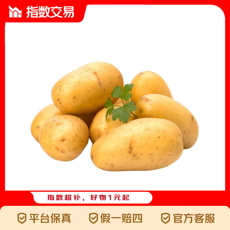山东土豆新鲜现挖2025新土豆农家马铃薯黄皮黄心大包装健康即食 黄心土豆小果 2斤(带箱)