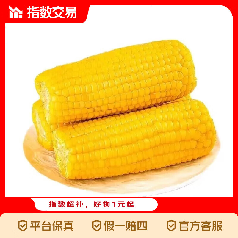 东北黄糯玉米 真空包装 粗粮大棒低脂新鲜苞米代餐指数 头茬黄糯玉米8支 180g-220g/支