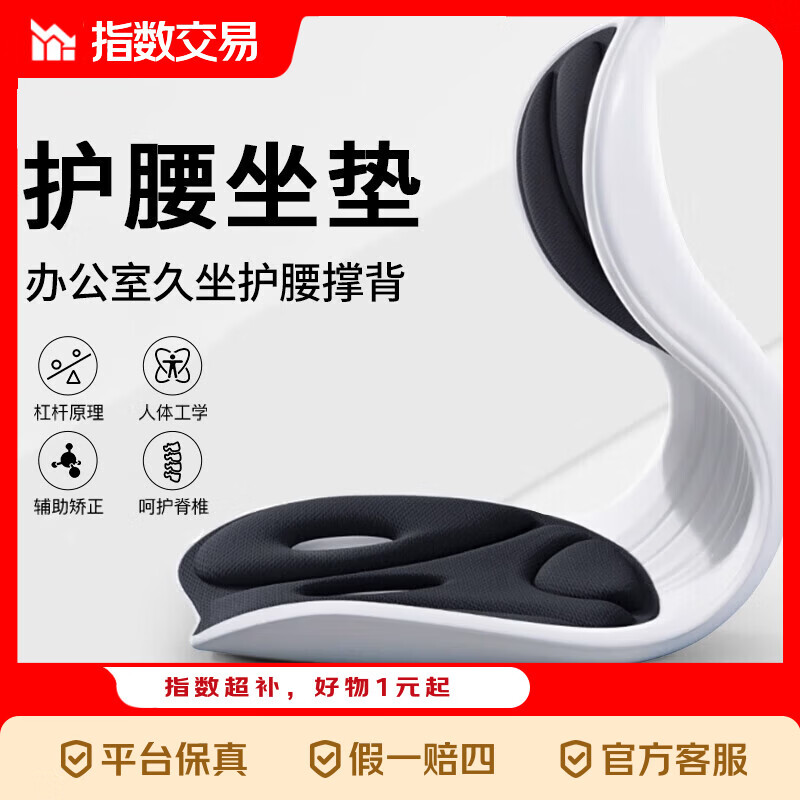 人体工学护腰靠背垫腰靠腰部支撑矫正坐姿办公室座椅 【办公久坐//护腰撑背】-黑色
