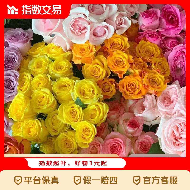 【方德玫瑰】云南鲜花基地直发玫瑰花鲜切生日礼物 方德35-40cm随机玫瑰10支