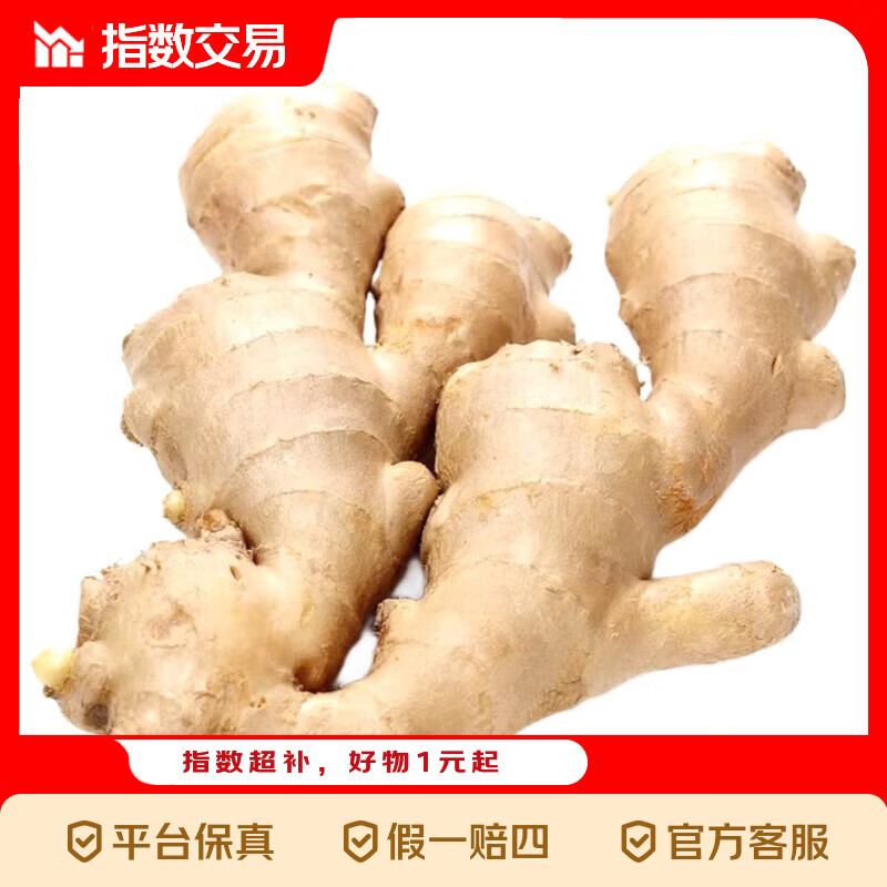 山东窖藏大黄姜新鲜生姜老姜沙姜月子姜农家现挖当季3斤 3斤