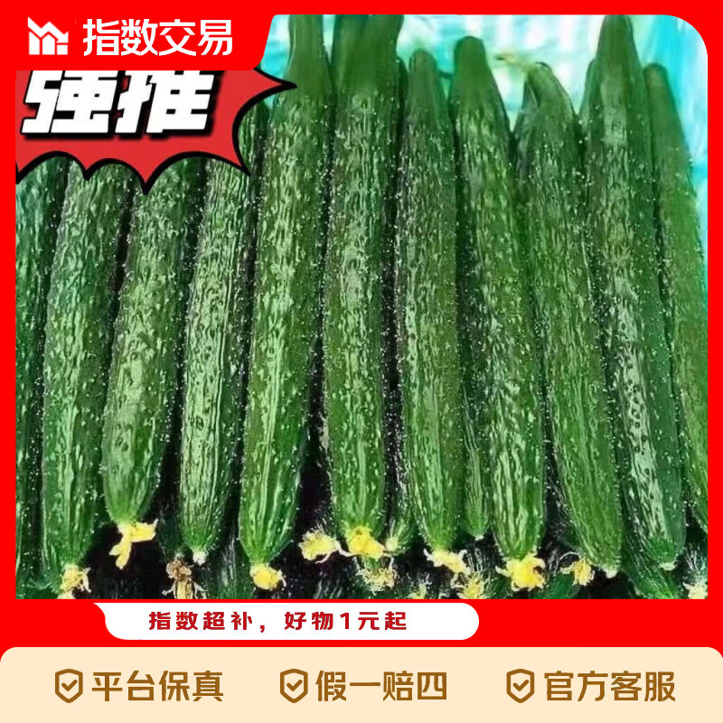 现摘新鲜密刺黄瓜新鲜蔬菜新鲜采摘生吃黄瓜生鲜 带刺黄瓜 5斤 带箱