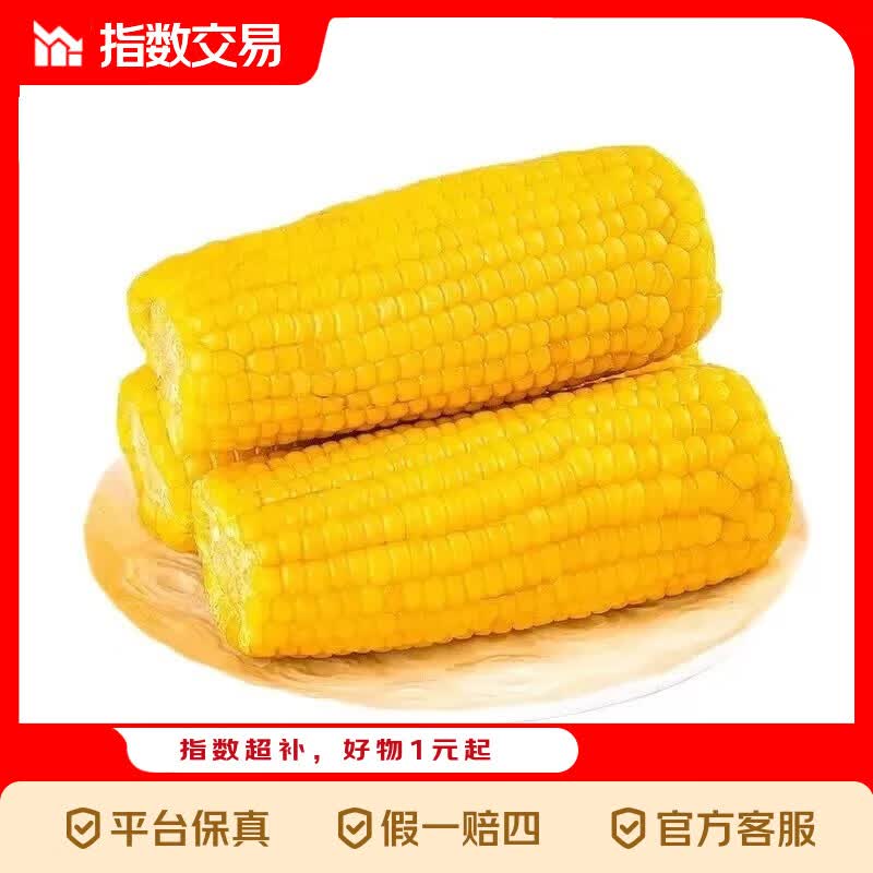 东北黄糯玉米 真空包装 粗粮大棒低脂新鲜苞米代餐指数 头茬黄糯玉米200g*8支
