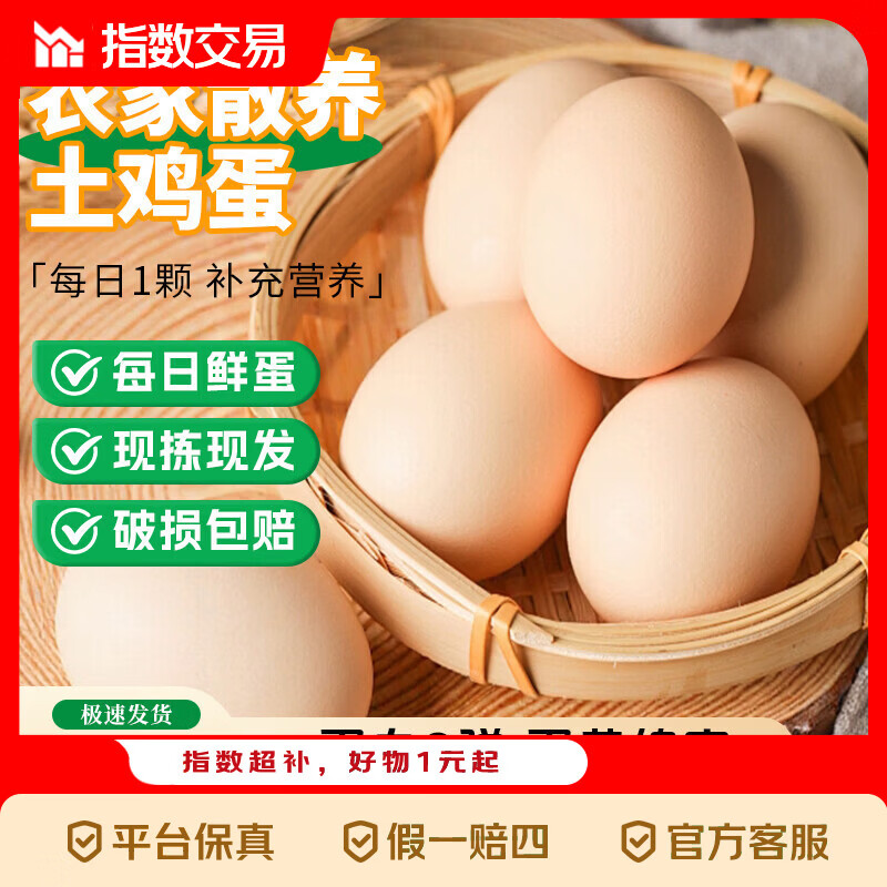 山林新鲜鸡蛋鲜鸡蛋当日现捡生鲜买菜单枚40g左右 当日现捡土鸡蛋10枚