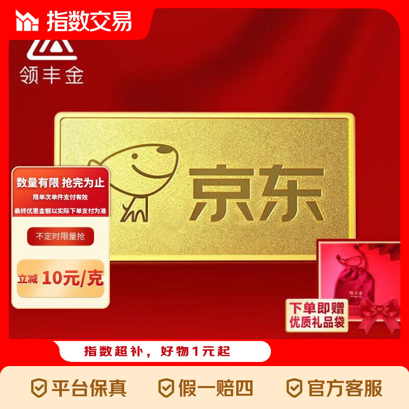 领丰金（LING FENG GOLD）联名款足金9999黄金投资金条攒零钱收藏指数指 10g
