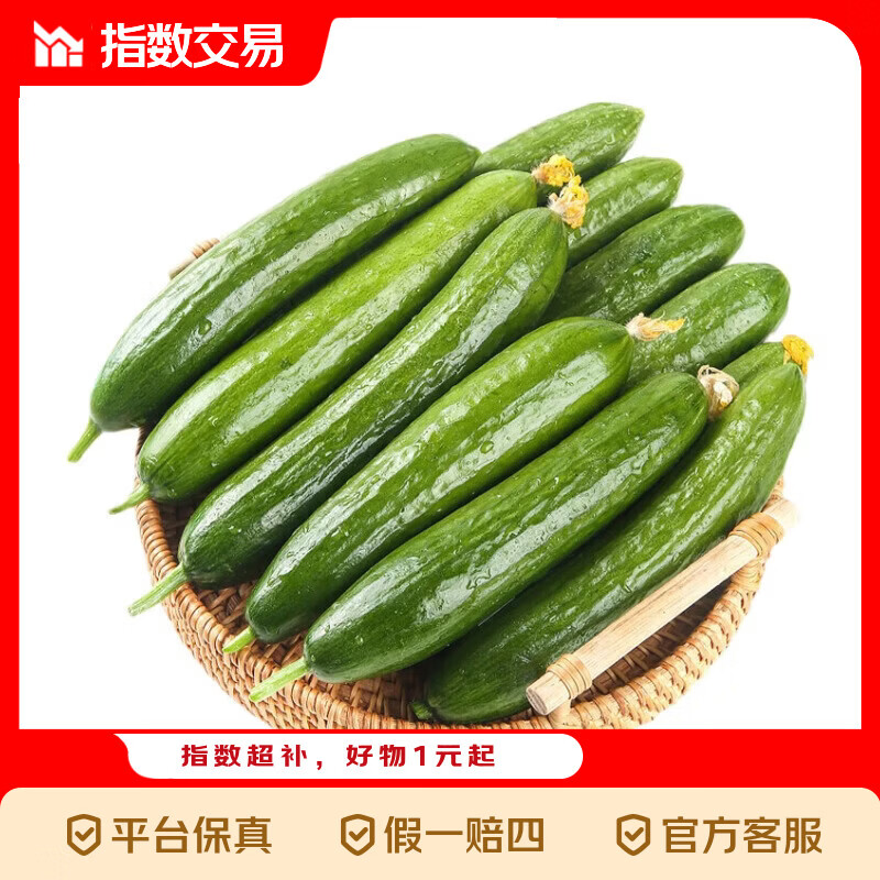 京喜加 寿光水果黄瓜无刺小黄瓜小青瓜生吃新鲜瘦身减脂蔬菜 黄瓜新鲜净重 5斤