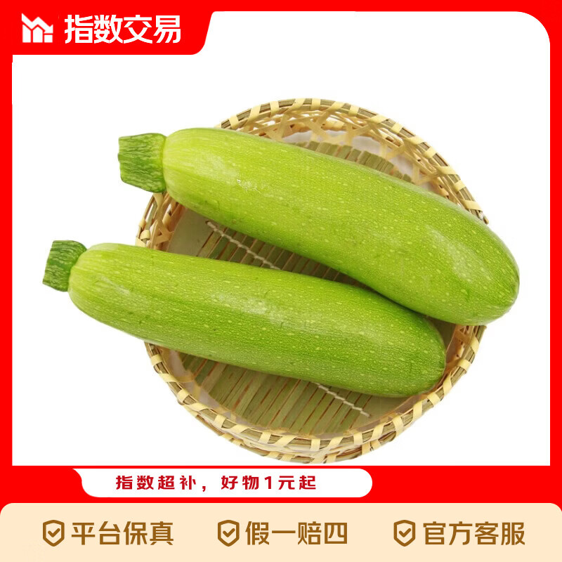 新鲜西葫芦生鲜新鲜采摘山东寿光精品皮薄肉厚 西葫芦带箱 5斤