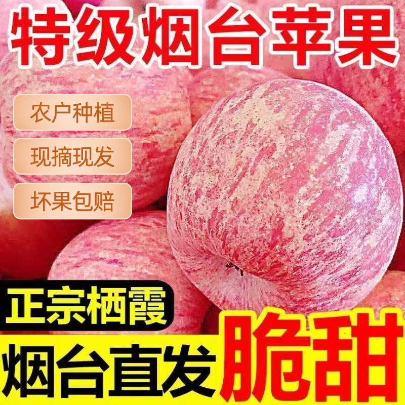 正宗山东烟台红富士苹果脆甜栖霞新鲜苹果水果生鲜批发一整箱 5斤大果7-9个（80-85mm）