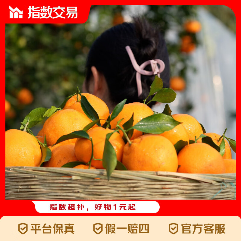 四川春见耙耙柑时令新鲜现摘水果酸甜爆汁 带箱5斤65mm-75mm净重4.5斤