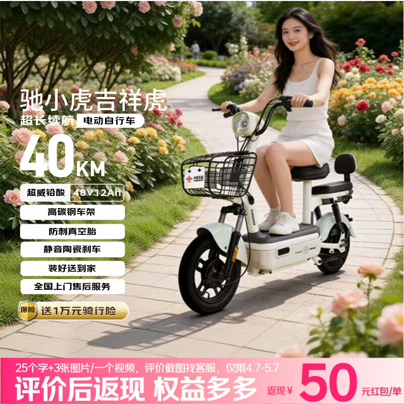 驰小虎电动自行车 吉祥虎新国标电动车电动自行车48V12Ah铅酸电池长续航电瓶车成人代步车电车 绿色