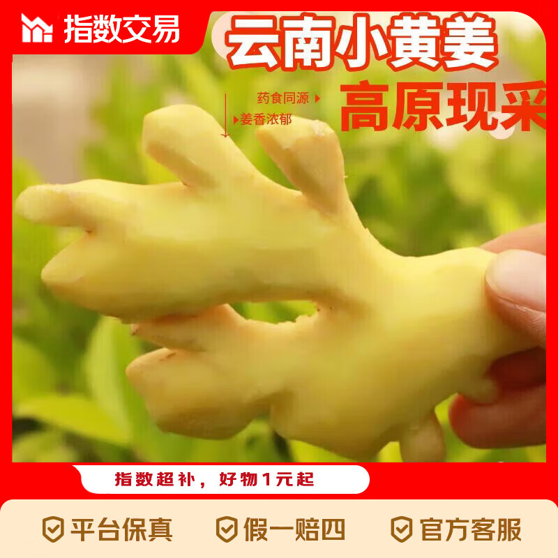 云南小黄姜当季新鲜超市同款小黄姜月子姜生鲜蔬菜调料姜 4斤带箱