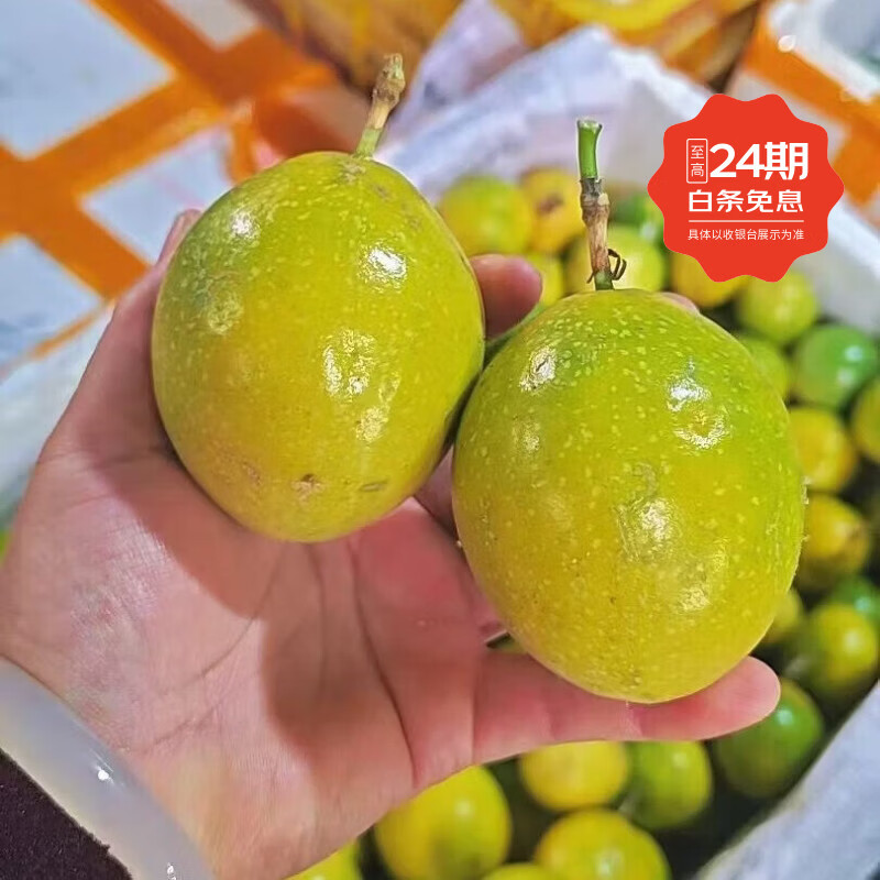 百香果  黄金百香果  广西百色百香果  钦蜜九号   一箱9斤装 中大果
