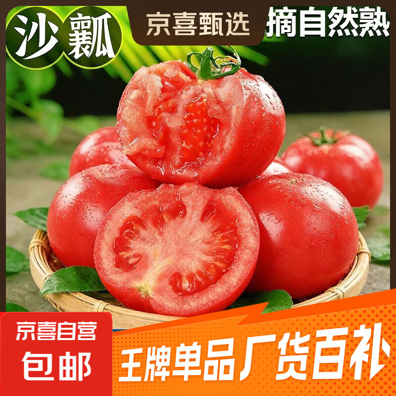 京喜加正宗普罗旺斯西红柿沙瓤水果番茄蔬菜现摘新鲜自然熟生吃粉果超甜 正宗普罗旺斯 1斤 净重