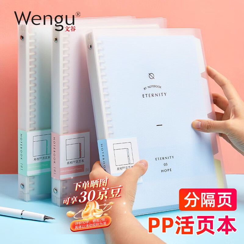 文谷（Wengu）活页本笔记本手写a4/60张记事日记初高中学生文具办公会议可拆卸30孔送索引分隔页 横线B17-A4/C蓝