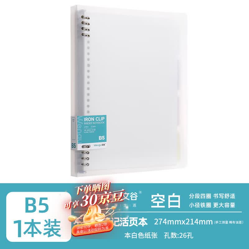 文谷（Wengu）b5/60张不硌手大容量活页本可拆卸简约加厚商务工作笔记本本子学生高颜值文具 BI068-1(B5)空白