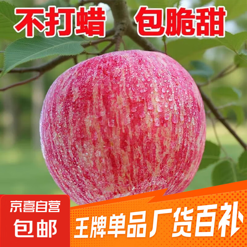 山东红富士苹果水果新鲜当季整箱10斤平果冰糖心丑萍果脆甜包邮 带箱1斤净重0.6斤2-4个果【70-75mm】