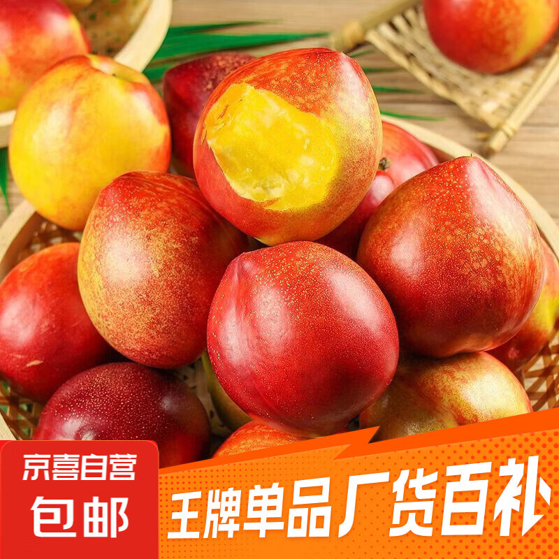 【时令鲜桃】大连红油桃脆甜可口黄肉油桃新鲜水果 【超值尝鲜】带箱1斤(单果50g+)