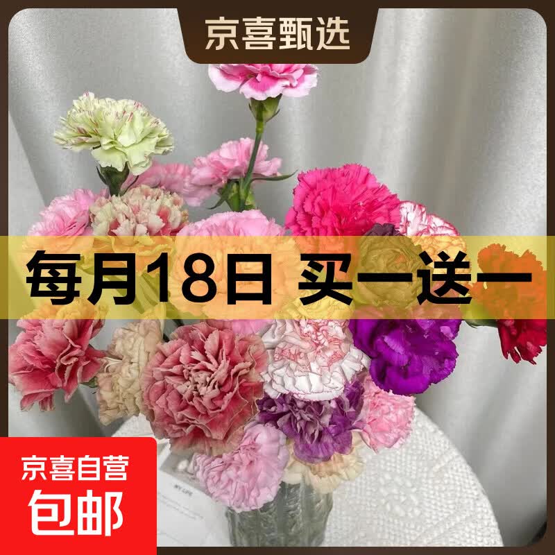 混色康乃馨共10支 9.98元，小金枝玉叶原盆 共2盆 9.99元，金鱼吊兰 共2盆 9.98元 - 线报酷