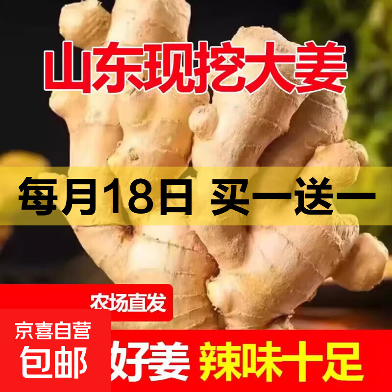 山东窖藏大黄姜5斤新鲜生姜老姜沙姜月子姜农家现挖当季蔬菜 净重245g