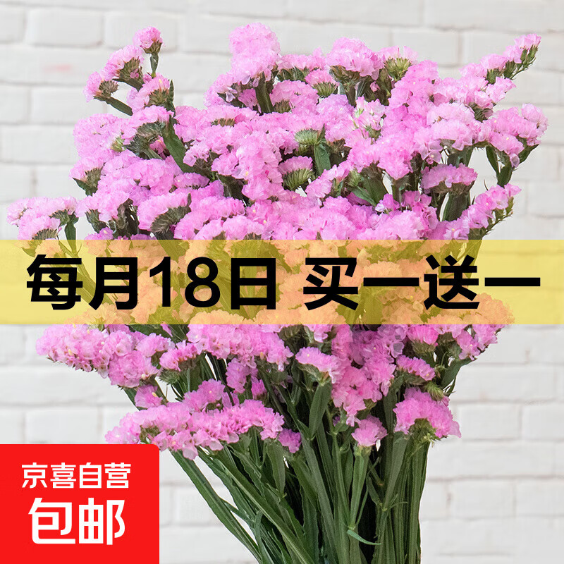 勿忘我半干花材云南直发鲜花批发花束搭配可做38女神妇女节礼物 粉色勿忘我500g