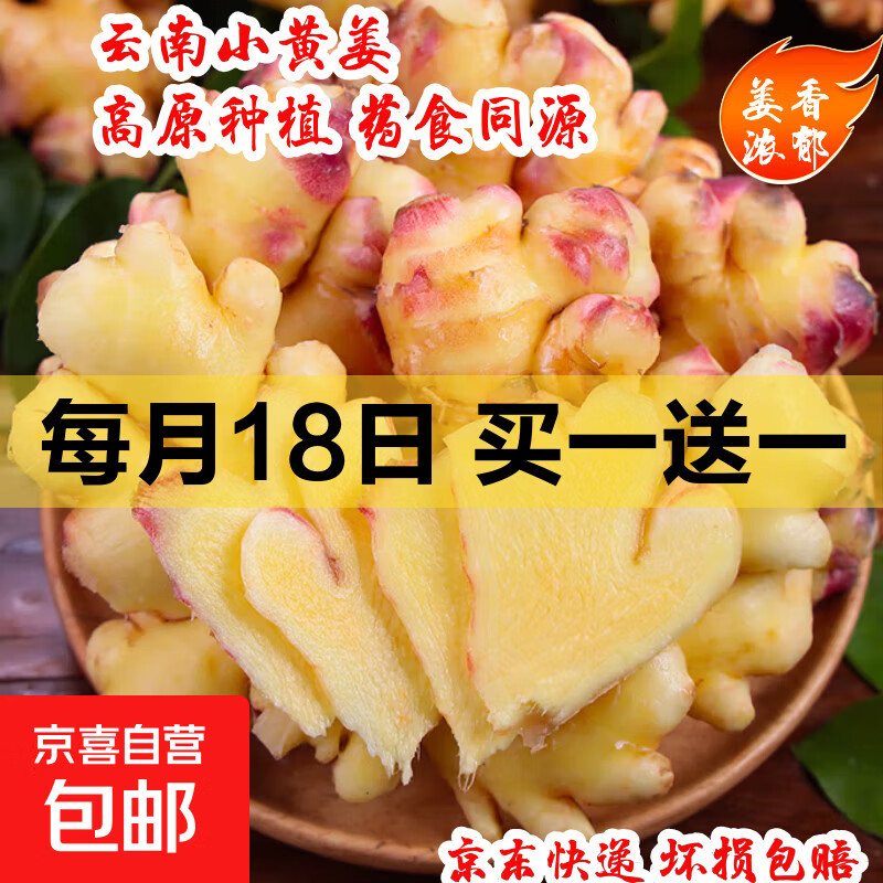 云南农家自种小黄姜生姜新鲜老姜土姜产地直发 净重1.8斤 云南小黄姜产地直发