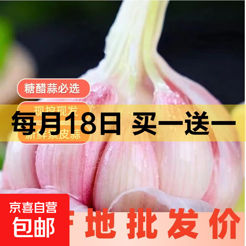 云南正宗紫皮大蒜现挖新鲜多瓣湿蒜鲜蒜糖蒜专用大蒜头 家庭款鲜蒜净重1.8斤中果