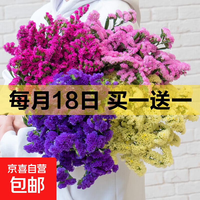 勿忘我半干花材云南直发鲜花批发花束搭配可做38女神妇女节礼物 随机混色勿忘我500g