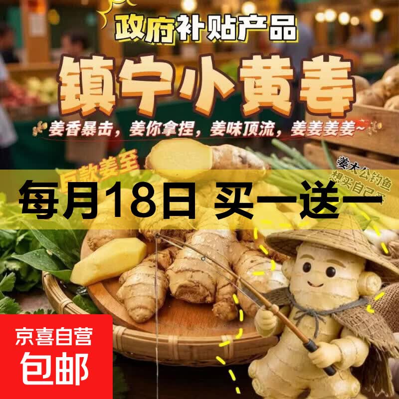 产地直发贵州镇宁新鲜现挖小黄姜生姜黄姜调味料新鲜蔬菜生鲜 2斤装 1000g 净重