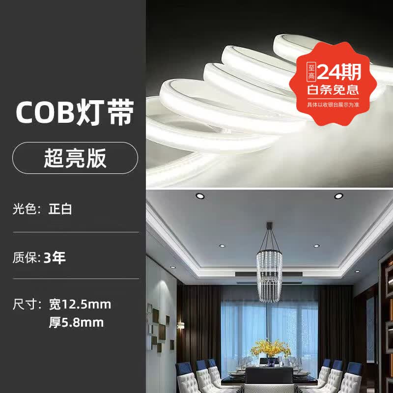 DENGZX超亮款cob灯带LED家用高压220V客厅吊顶工程户外防水硅胶软灯条 220v【超亮COB正白光】10米+配好接头