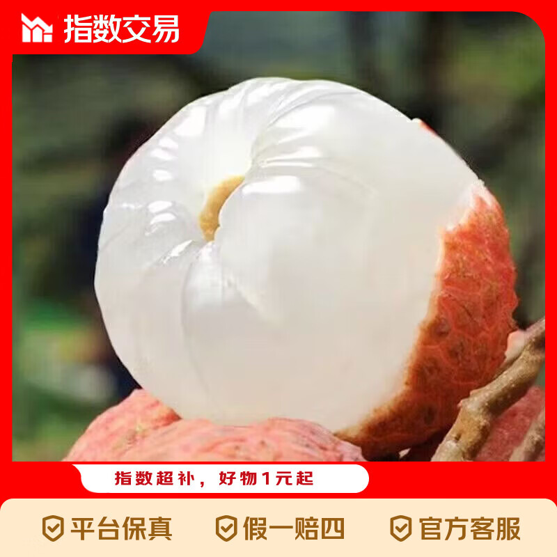 京喜加京东直达头茬海南桂花香荔枝当季水果新鲜现摘现发礼盒 精选桂花香荔枝1斤（净重1斤）单果15-18g