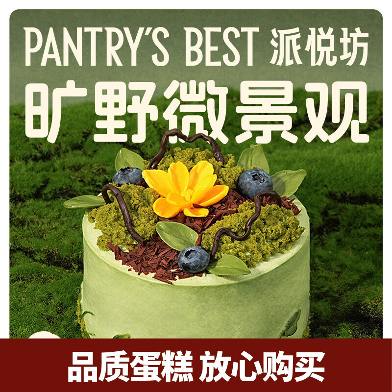 派悦坊牛油果椰香芒果动物奶油生日小蛋糕下午茶聚会甜点同城当天配送