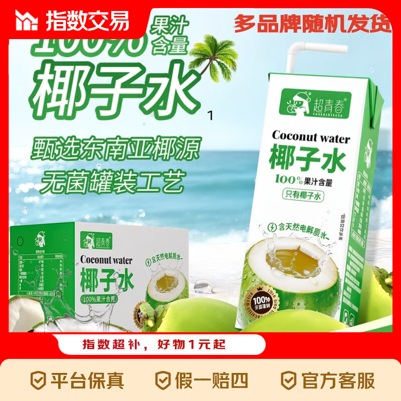 100%椰子水 果汁饮料 椰子汁250ml*10盒装 1箱