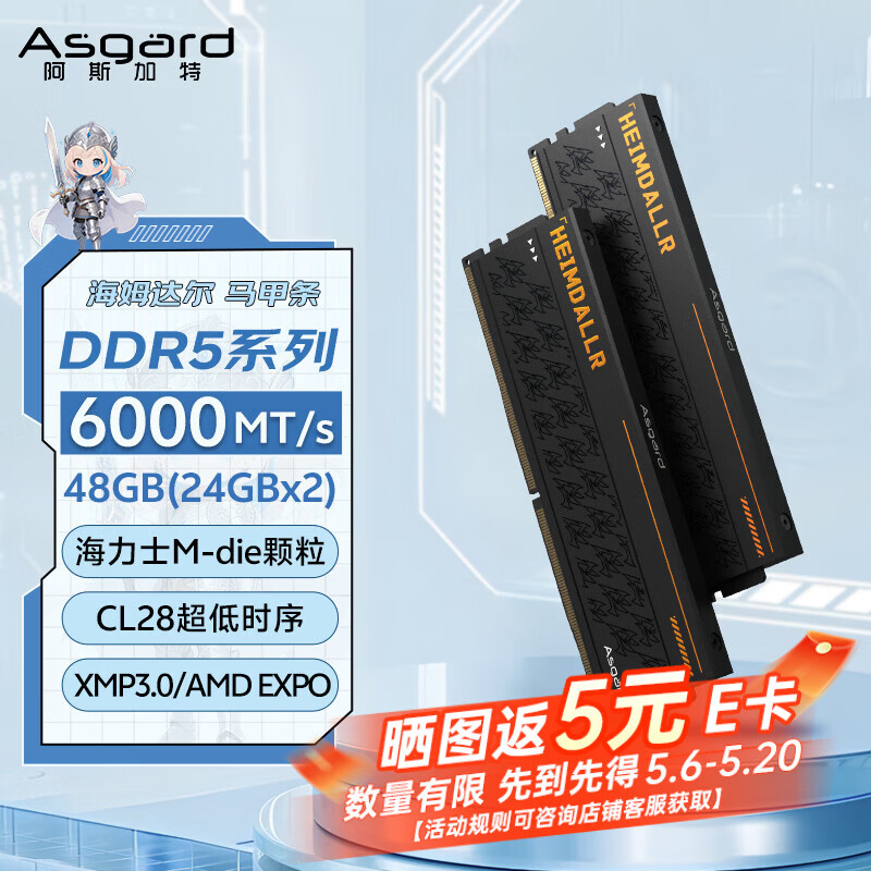 阿斯加特（Asgard）48GB(24GBx2) DDR5 6000 台式机内存条 海姆达尔 马甲条 海力士M-die CL28 黑厚甲 AI电脑配件升级