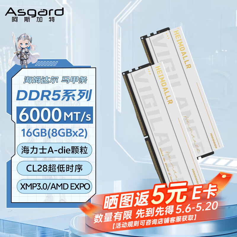 阿斯加特（Asgard）16GB(8GBx2) DDR5 6000 台式机内存条 海姆达尔 马甲条 海力士A-die CL28 极地白 AI电脑配件升级