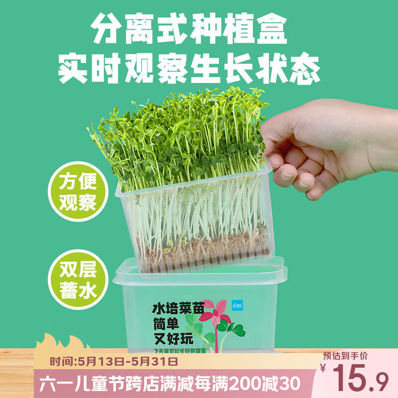 匠心绽放水培菜种植套装儿童种植小盆栽幼儿园DIY植物根系观察豌豆10114