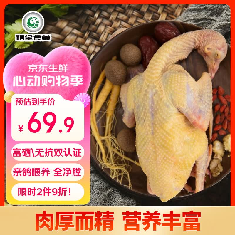 硒全食美无抗富硒老鸽 净重400g/只 冷冻 鸽子生鲜煲汤烧烤鸽子肉鸽