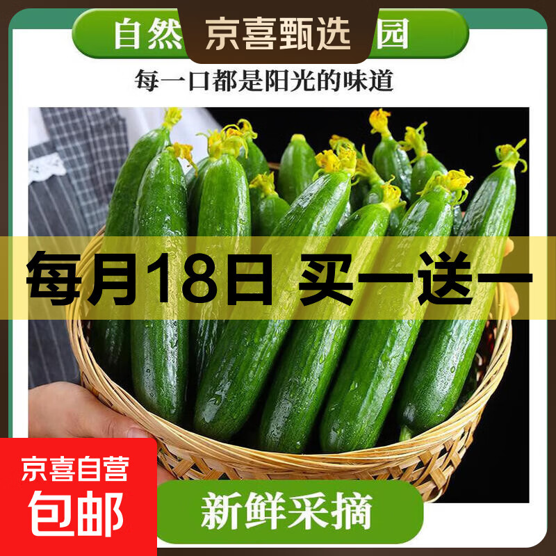山东水果黄瓜2斤 2.99元 - 线报酷